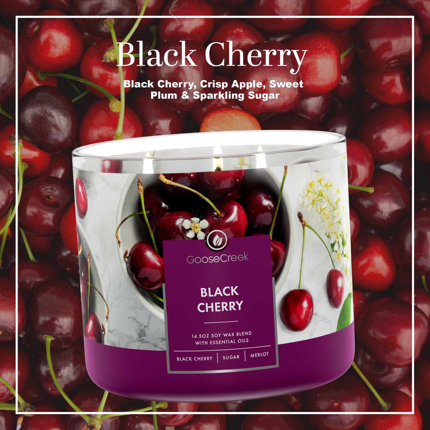 Black Cherry Large 3-Wick Candle