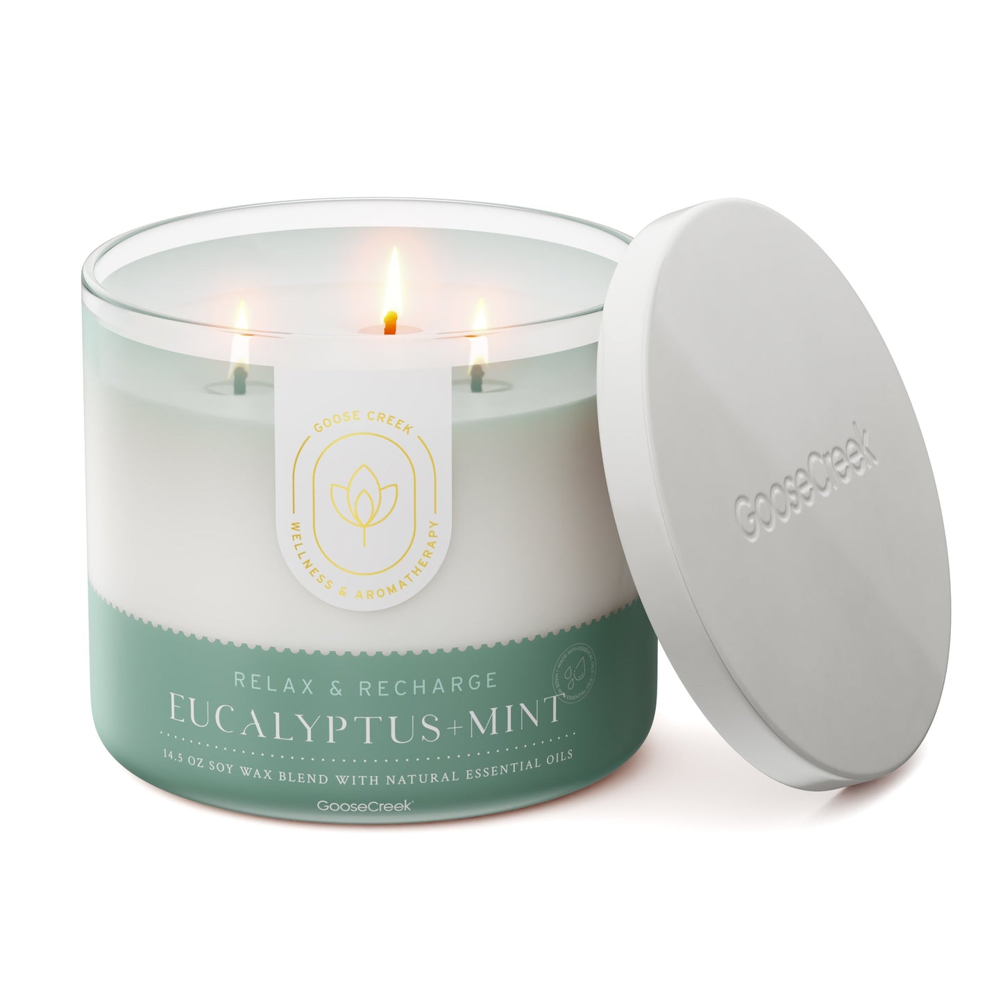 Eucalyptus & Mint Aromatherapy 3-Wick Candle