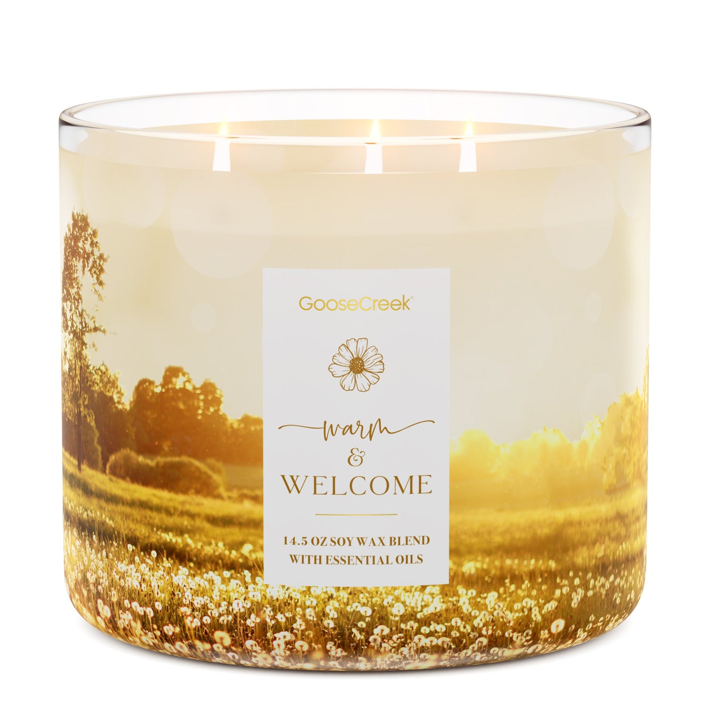 Warm & Welcome 3-Wick Candle