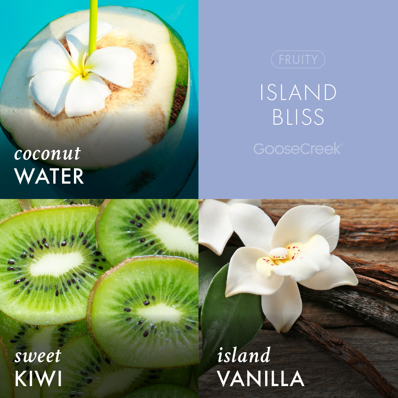 Island Bliss Large 3-Wick Candle