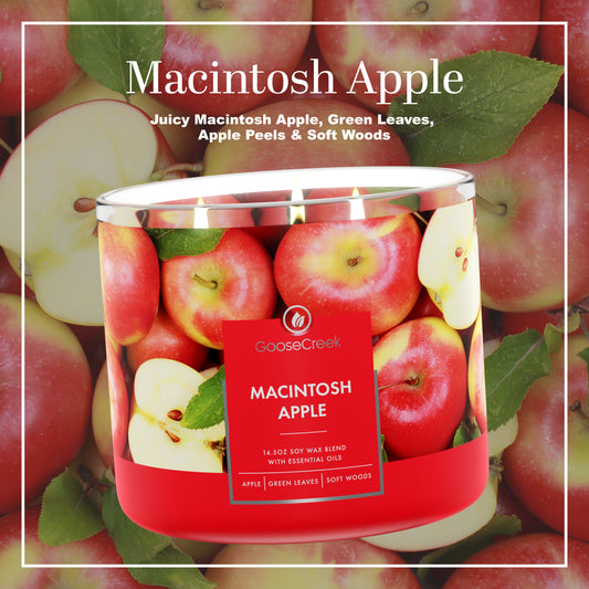 Macintosh Apple Large 3-Wick Candle