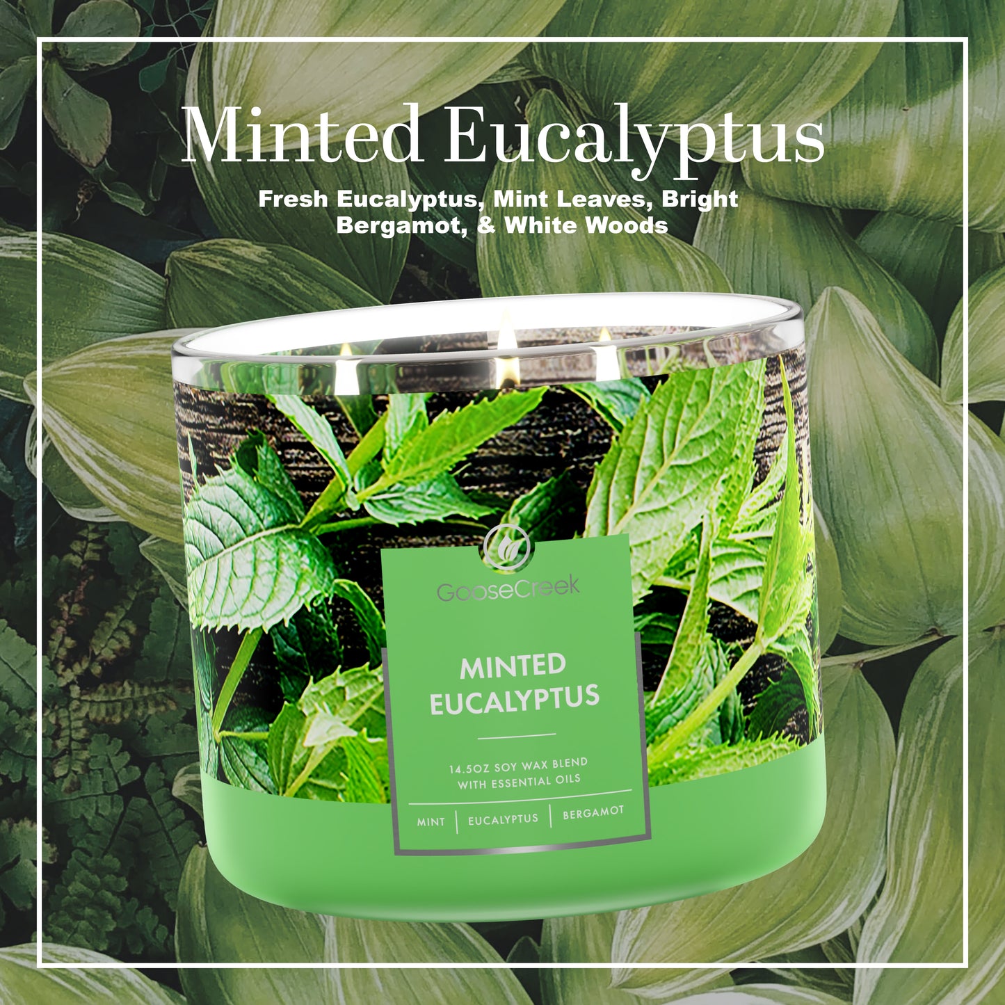 Minted Eucalyptus 3-Wick Candle