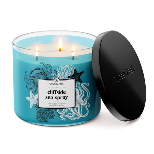 Odor Eliminating Cliffside Sea Spray 3-Wick Candle