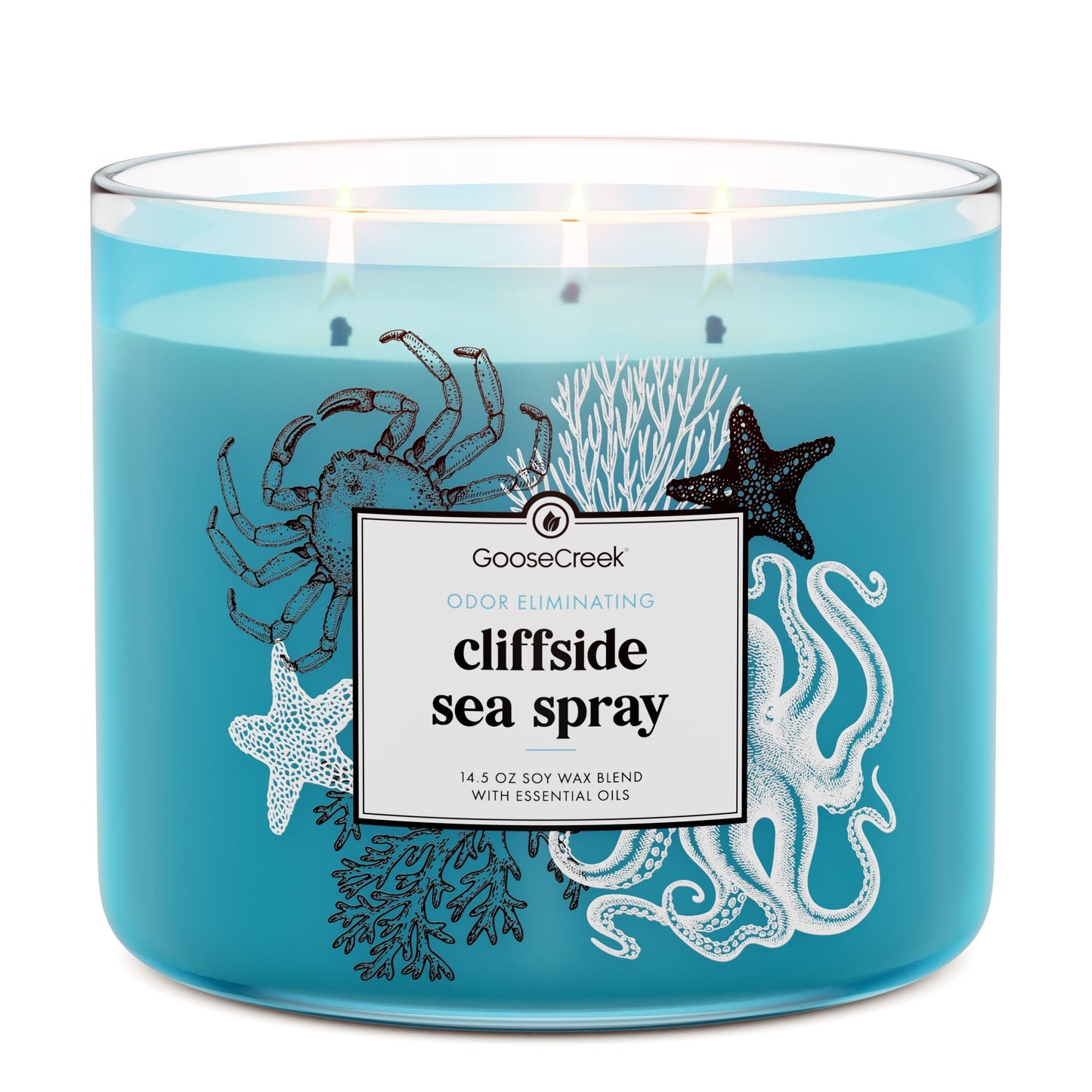 Odor Eliminating Cliffside Sea Spray 3-Wick Candle