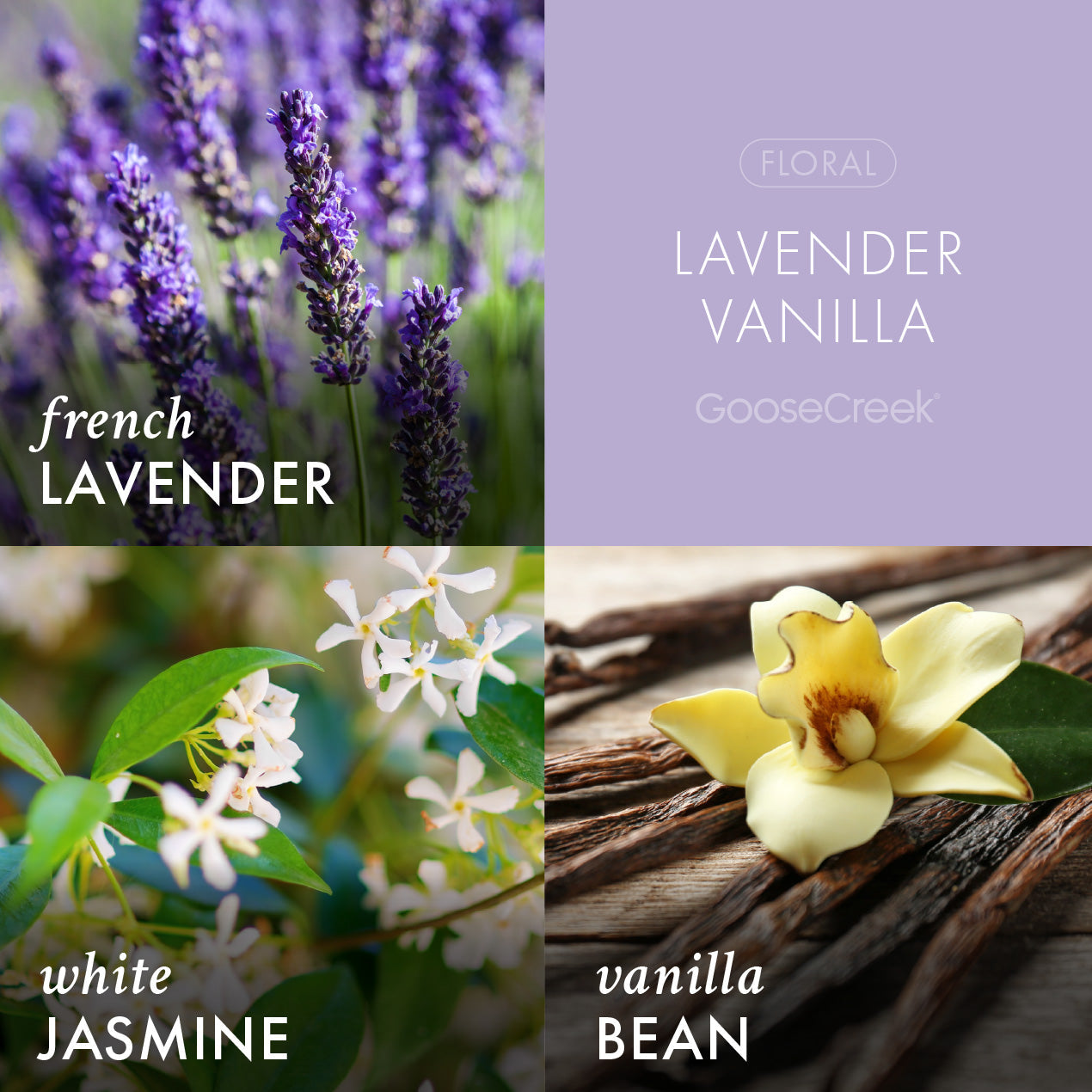 Odor Eliminating Lavender Vanilla 3-Wick Candle