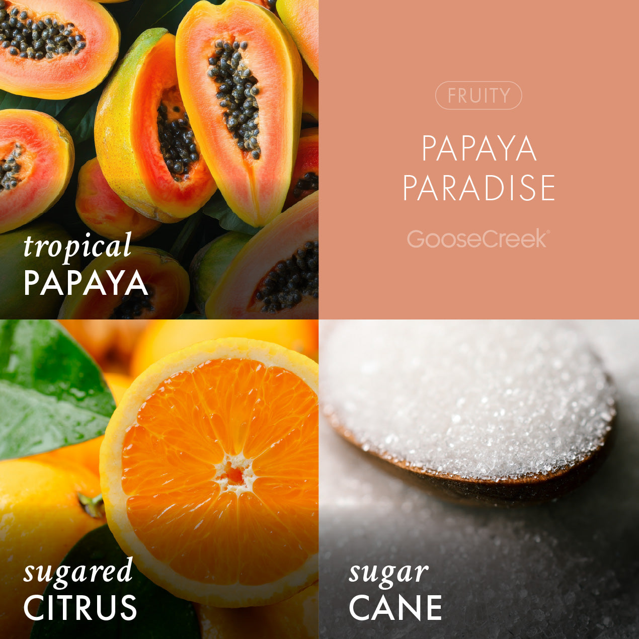 Papaya Paradise 3-Wick Candle