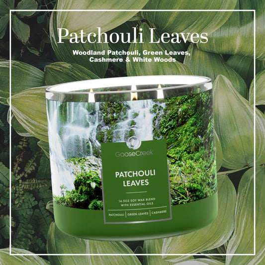 Patchouli Leaves Large 3-Wick Candle