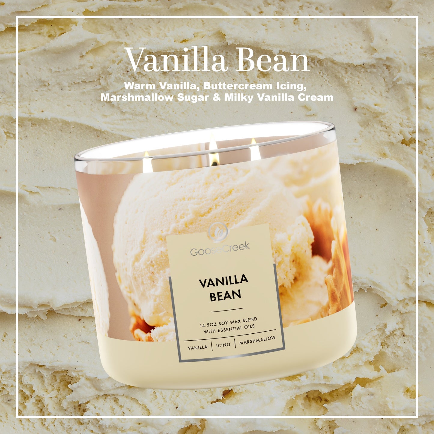 Vanilla Bean 3-Wick Candle