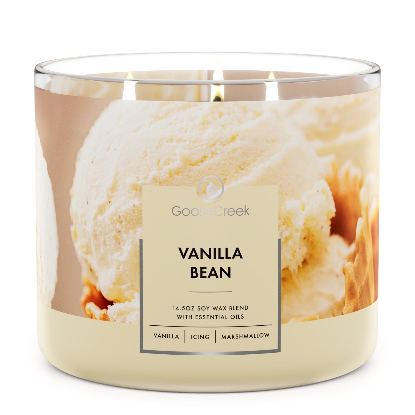 Vanilla Bean 3-Wick Candle