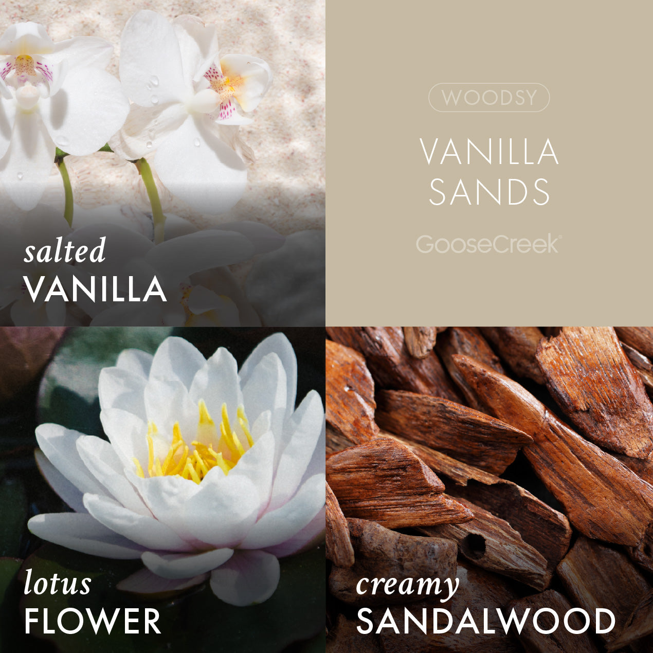 Vanilla Sands Large 3-Wick Candle