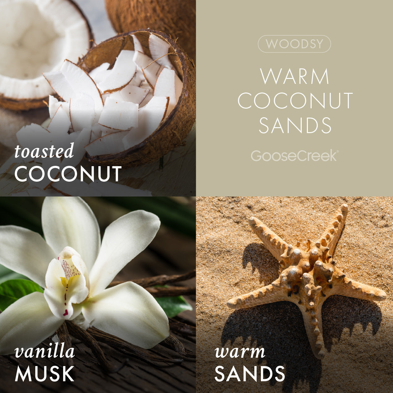 Warm Coconut Sands 3-Wick Candle