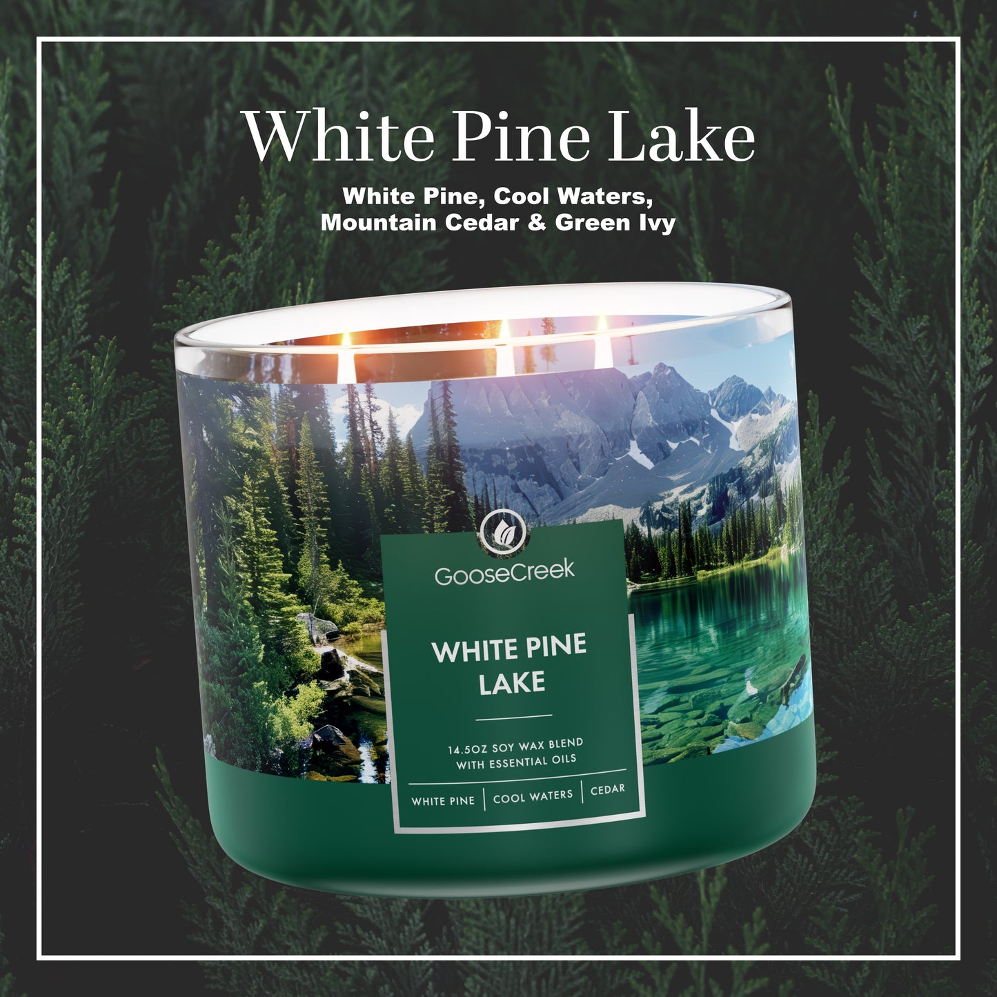 White Pine Lake Large 3-Wick Candle